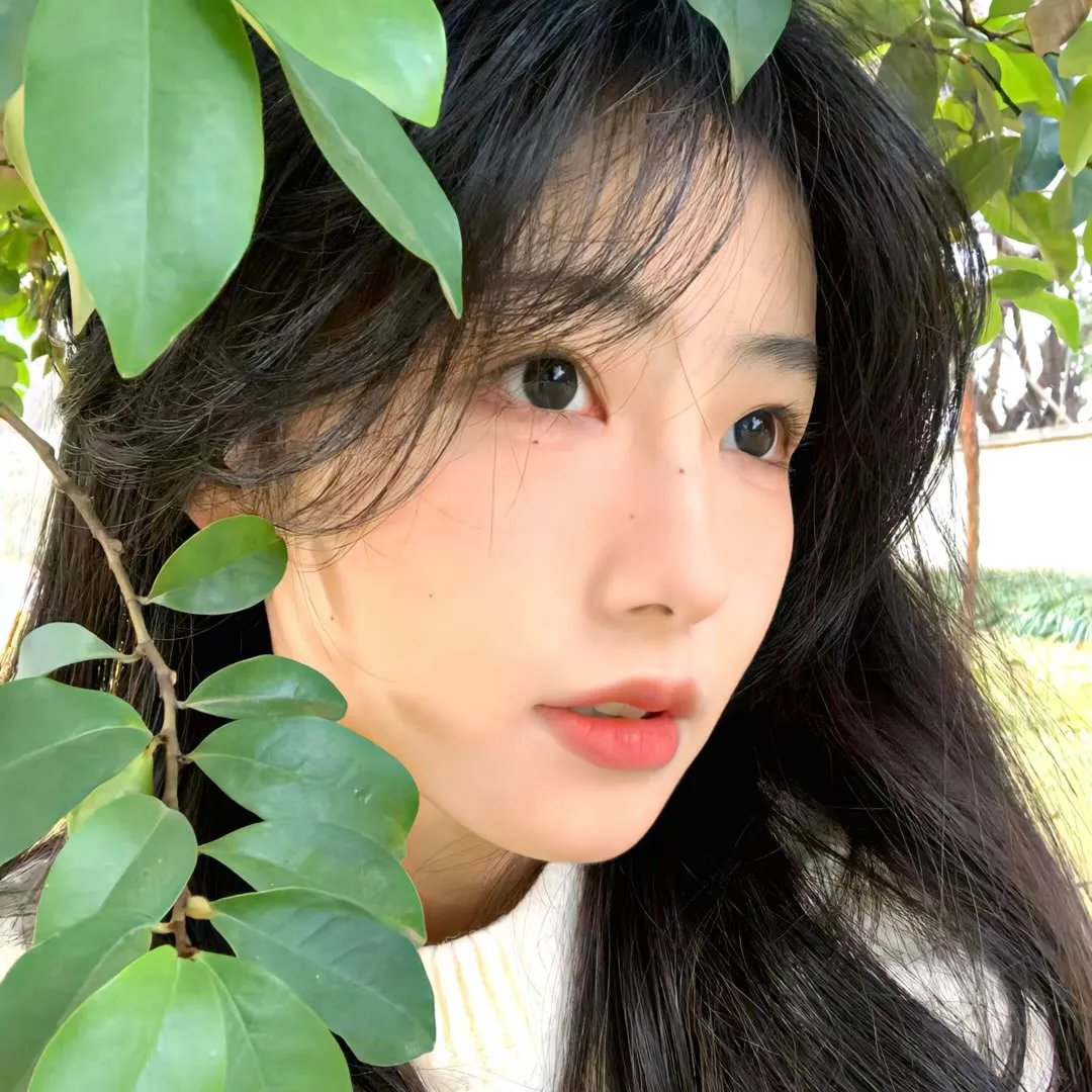 1988年的妮可